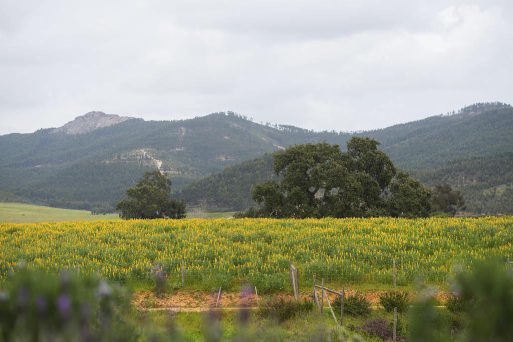 Herdade Do Amarelo Nature & Spa Vila Nova de Milfontes Exteriér fotografie